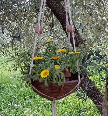 Luxury tent Yurta Agricamping Villamagra