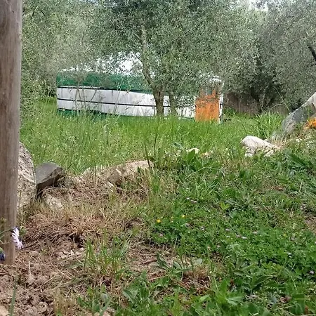 Yurta Agricamping Villamagra Luxury tent Santa Luce