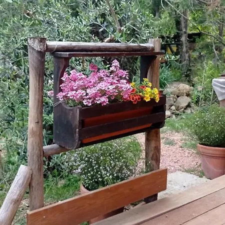 Yurta Agricamping Villamagra *