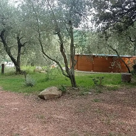 Yurta Agricamping Villamagra * Santa Luce