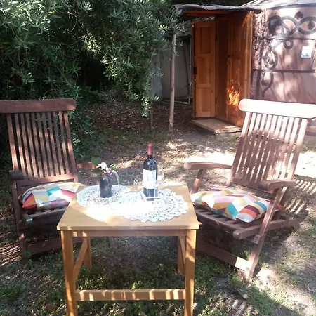 Yurta Agricamping Villamagra * Santa Luce